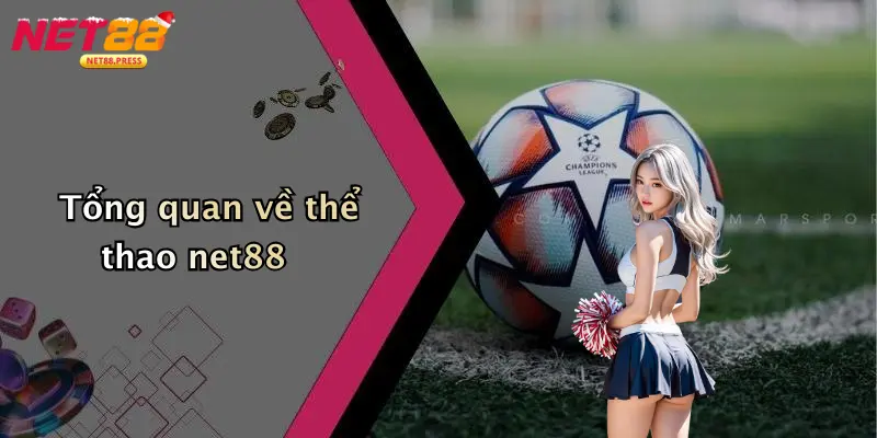 Tổng quan về thể thao net88